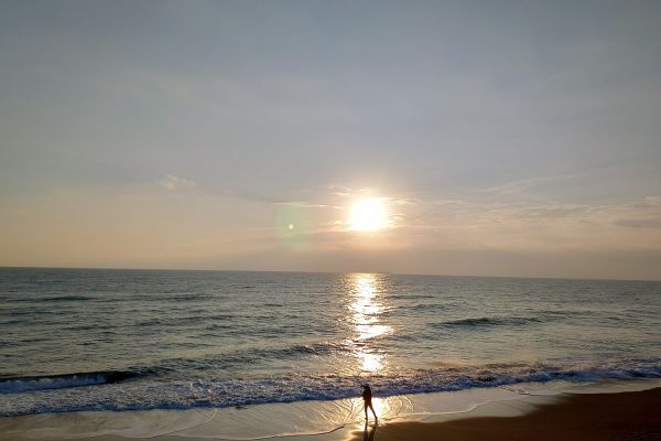 ホームページ更新サボり気味ですが、新年は元気です