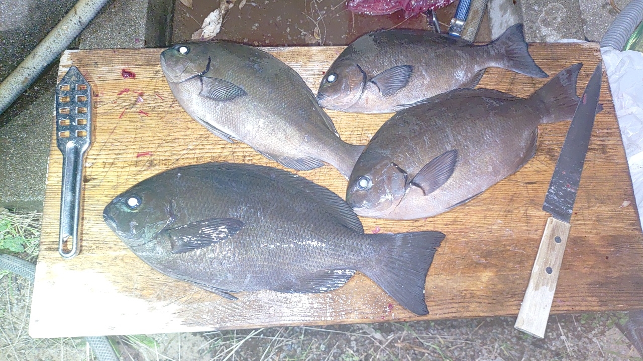 男の無駄なプライドより釣果優先回